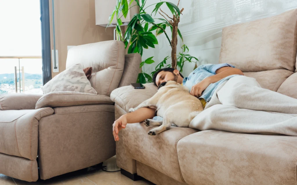 Polster und Couchgarnituren reinigen lassen